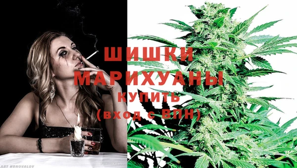 гидра Бугульма